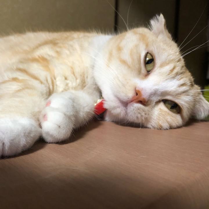 15b602a7 3c7c 458c a294 5a6a88fae155 1598162860664