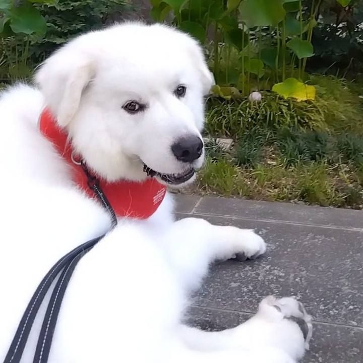 15b61ec5 4d24 45f2 8918 e8ef0cd8587c 1688624701995