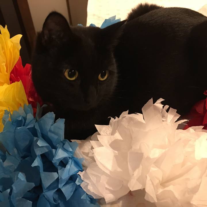 15b668d8 34da 4023 8b00 31b0bbf6bdb8 1545563616983