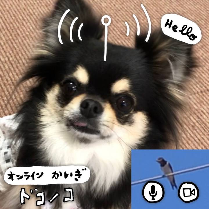 15b67447 157a 4af4 81a6 3482b71ba9a7 1590728208196