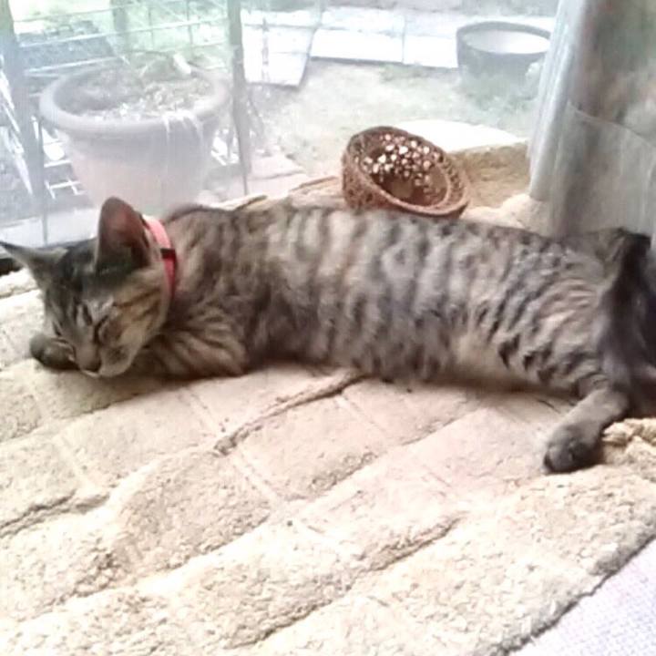 15b687a8 e83d 4017 b3fd 4a55b1476e1b 1661744450222