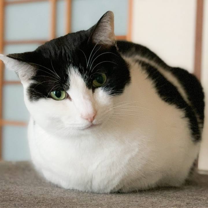 15b694f6 dda1 4b5f b890 03407b36bdd4 1579310734891