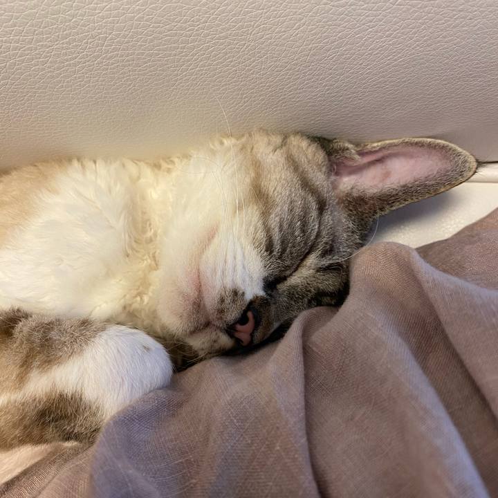 15b6a45a 0e6d 44a2 b7e6 8bfe13843d50 1615867111672