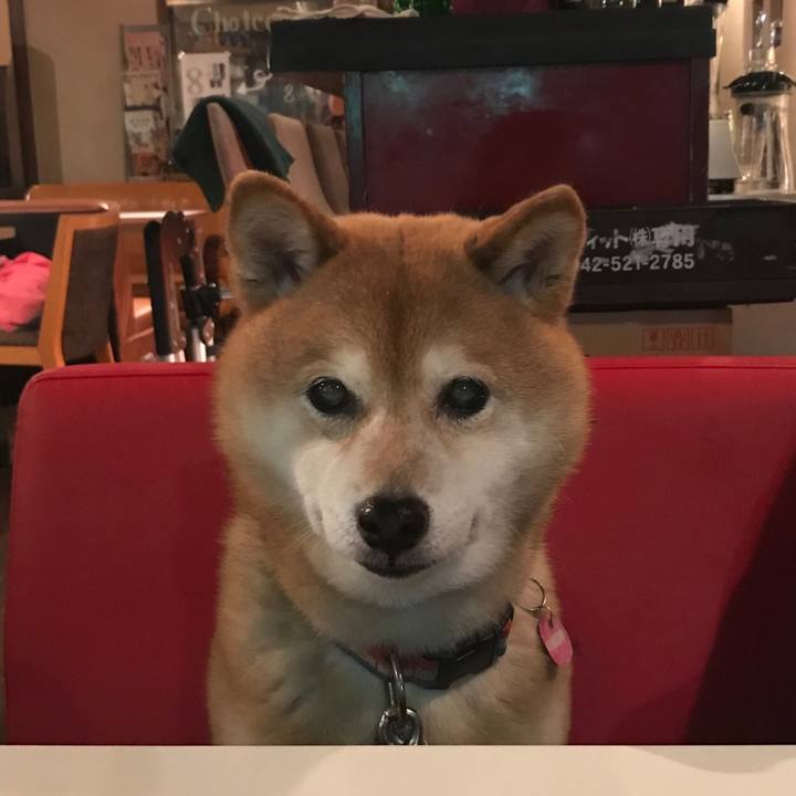 15b6d23c 2cc1 4e90 a30a b520d0444183 1525608065116