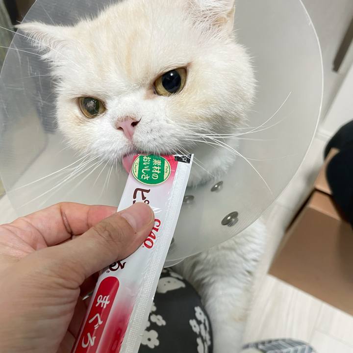 15b70063 dadb 4845 8bd2 b1e416c70e92 1757853319988