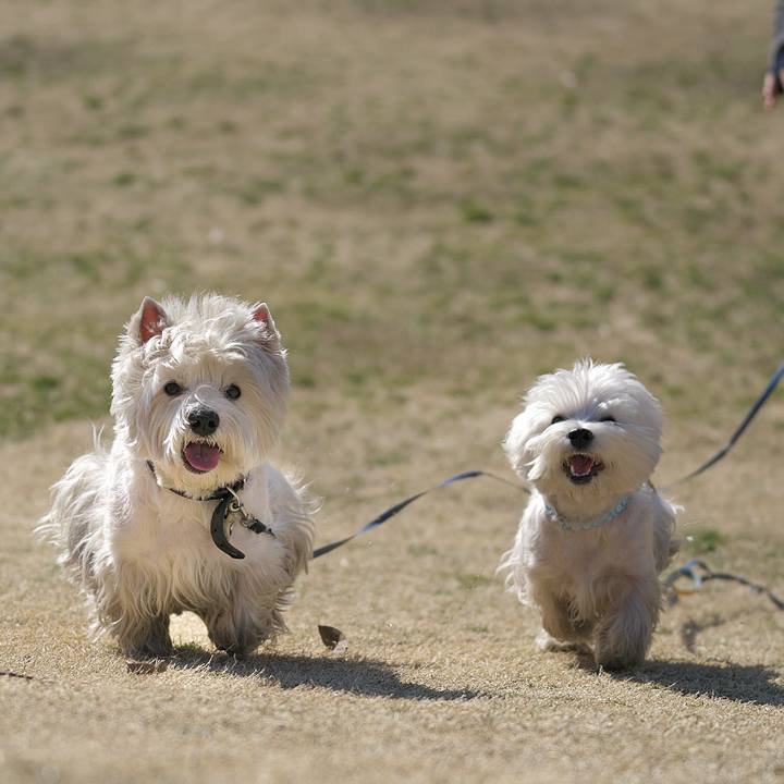 15b707d5 1ba1 4197 bd99 a5cca3458688 1518961694143