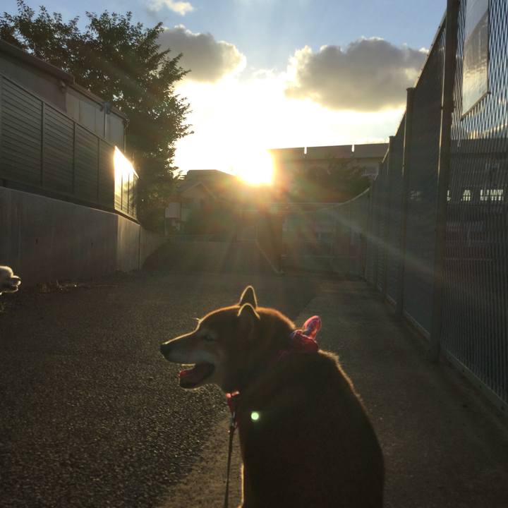 15b735d9 5497 44d5 b2be 047c124e78d5 1564996981292