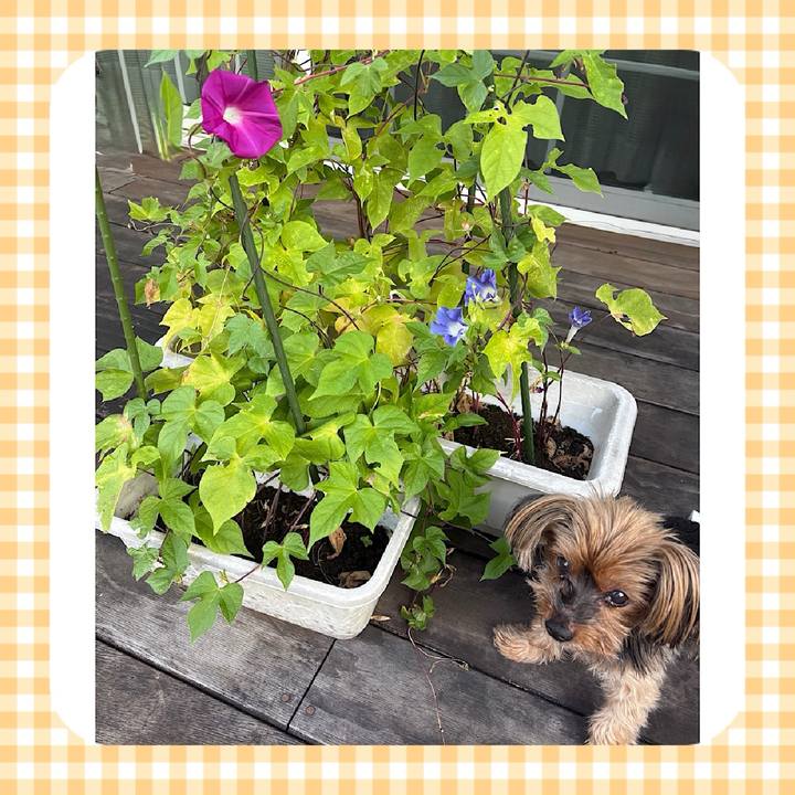 15b76ab2 43c2 4e66 a7a3 0250cc175443 1756676597670