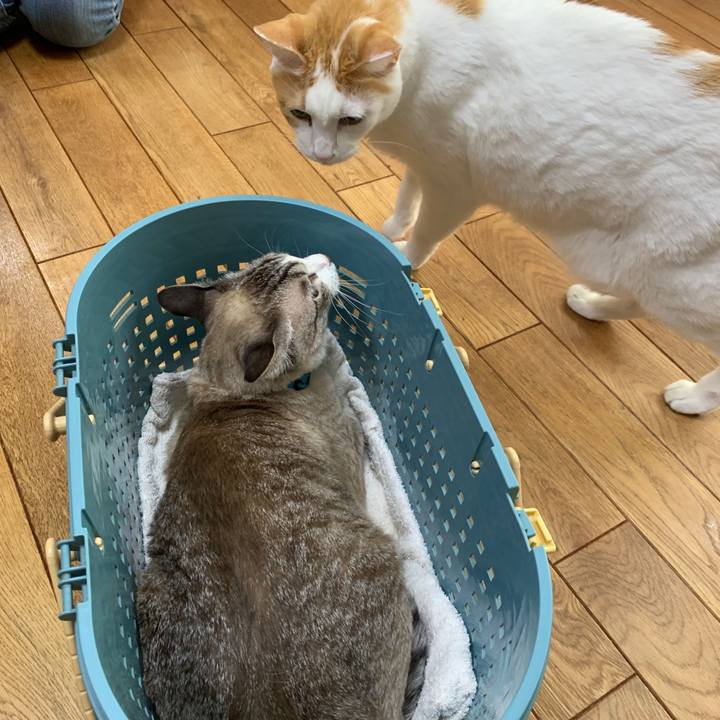 15b7b506 246a 41f6 8dec 4e6ddbdee5b4 1659179343826