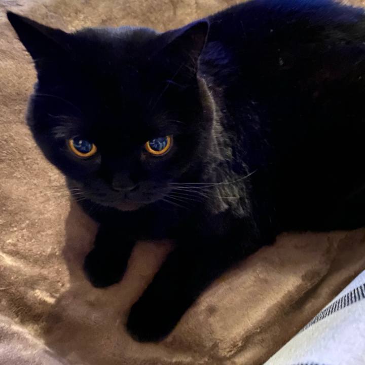 15b7f6ca 0a61 4304 9f57 0bf7170bf95c 1770987213702