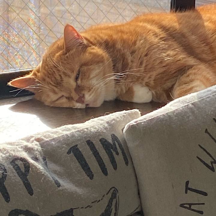 15b80ddc 38fe 4691 a66a e35fba710c1a 1607229690604