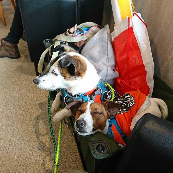 15b8290a fce4 48bf ad76 9972b75fee79 1555236252023