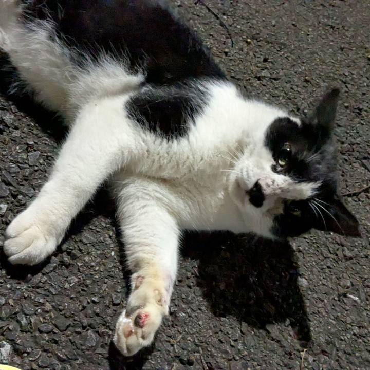 15b83be7 58cf 4ced 8190 fbae4d47e218 1757307300920