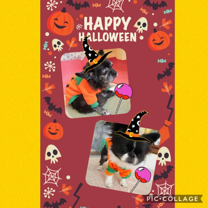 15b854b5 7700 4da9 bc3d 63171144fb18 1571870618192