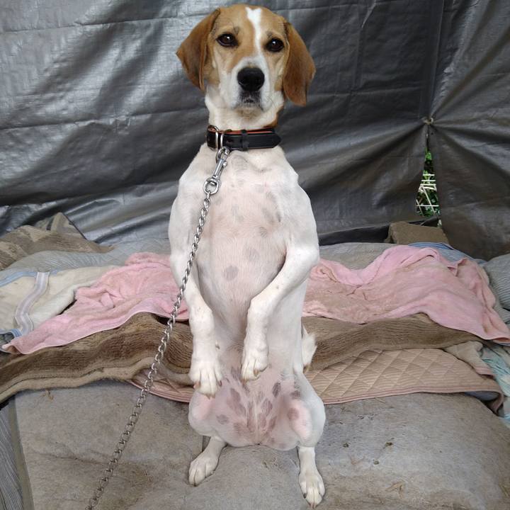 15b85869 ea3c 4874 8eea 2da07ab93862 1634090349841