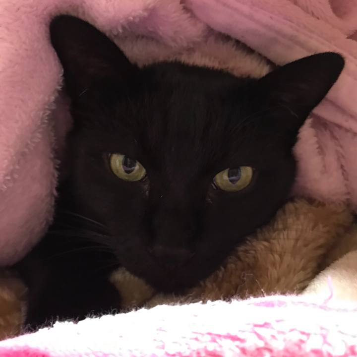 15b890e1 fe2d 46e7 abd8 c3e008e21d70 1514944354189