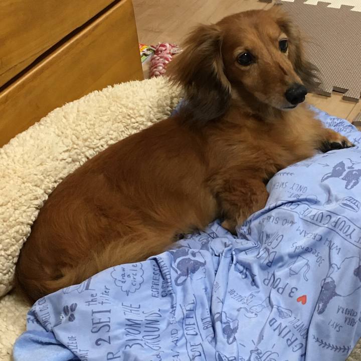 15b8dba5 921f 4e19 bbe2 9aef9d791728 1595328283035