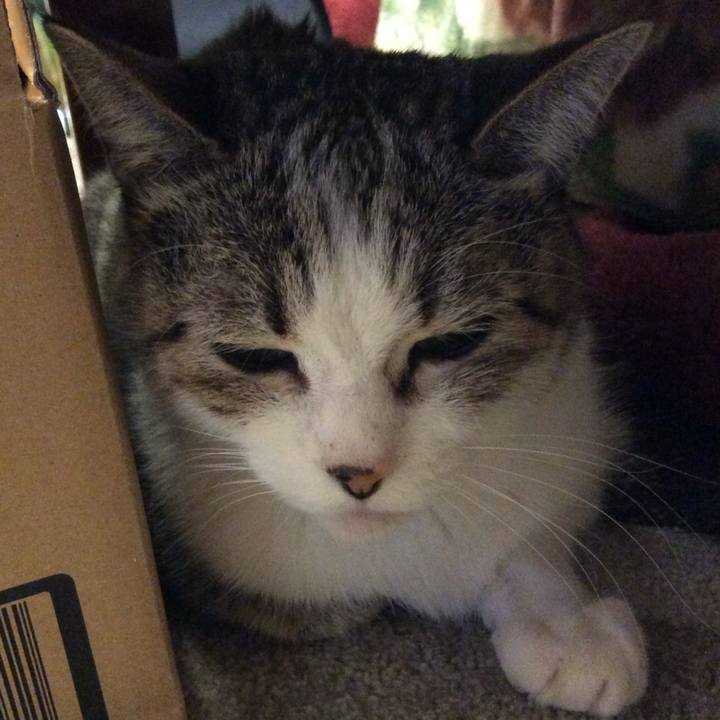 15b9277a c018 41b4 a787 56acbd51a9c7 1772750729552