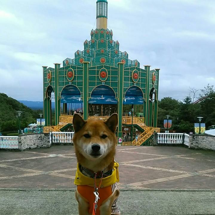 15b94aed 897f 4316 8c35 f26cd86b87df 1570359343082