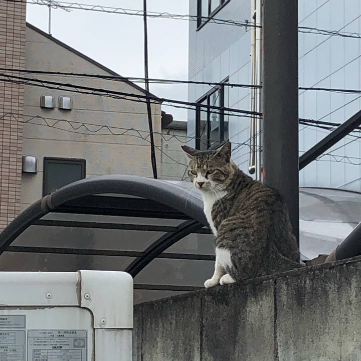 15b9553a f9a0 42ae abca 5a6d39d4d9d6 1561285145910