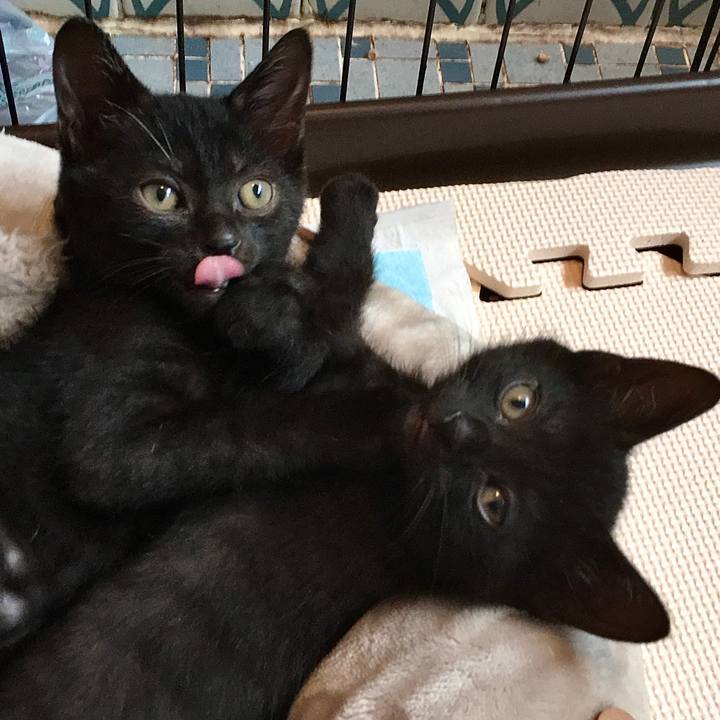 15b974ba 9c93 478b b065 6f0daf2d0085 1625178943392