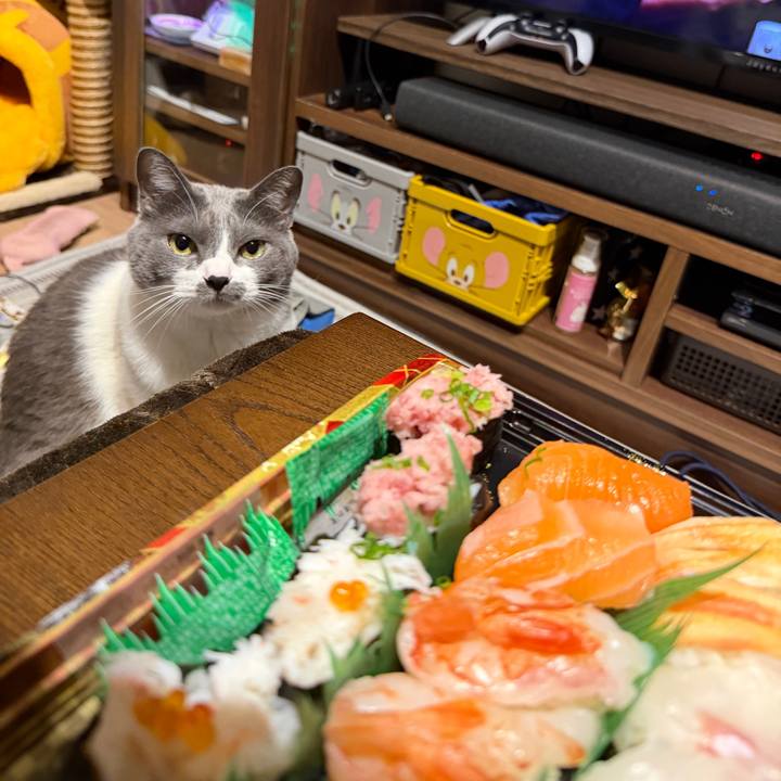 15b996c1 db86 4543 9830 8d7532e843c4 1766317495001