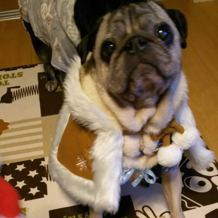 15b9aa67 c740 4343 ada7 fc69d2d3da70 1545530106997