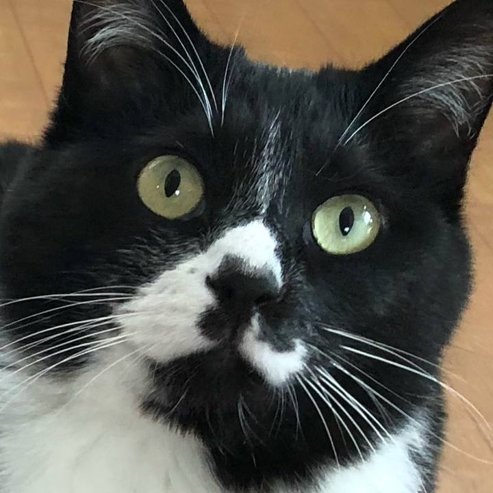 15b9e069 a144 41ce 844c 5b3bcc984814 1621657924010