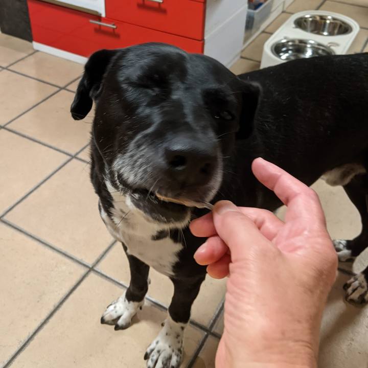 15b9e628 8135 4ecc ab4a d9b5b3b2641a 1657065135804