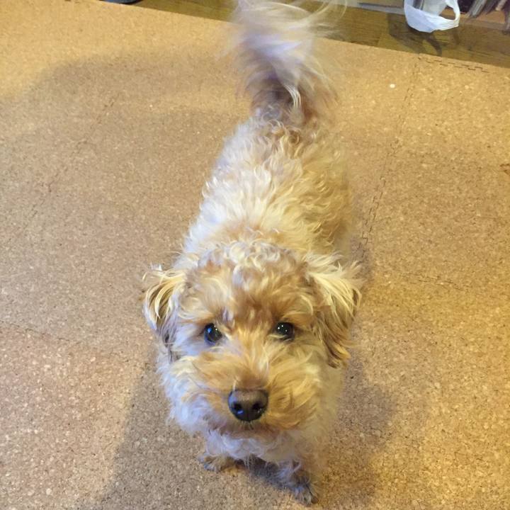 15b9fe17 d665 4026 a931 57134d334d79 1518851795894