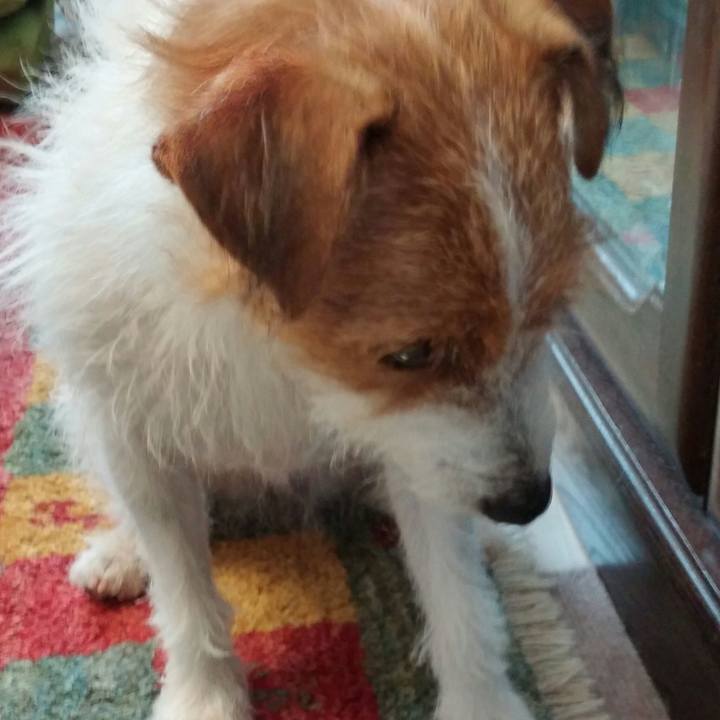 15ba1674 5cb6 48d4 b1ae beacd3932ad7 1536623684805