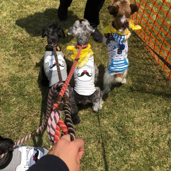 15ba327a 796a 435e b9cf 45ece0267ba9 1557629186072