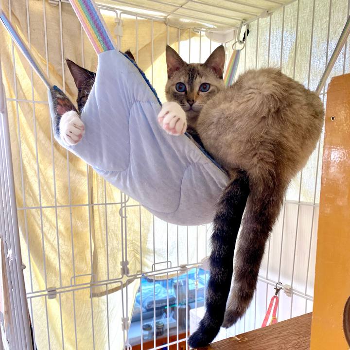 15ba6692 bf61 44d9 a575 fd4b20c220b5 1751692444745