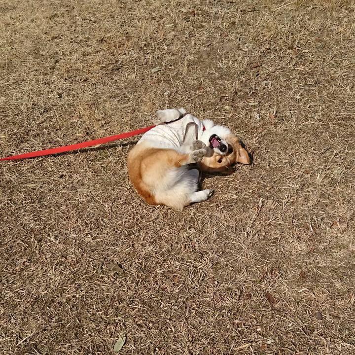 15bac0d4 964c 446c aa99 dbfe86b7bbed 1518788462505