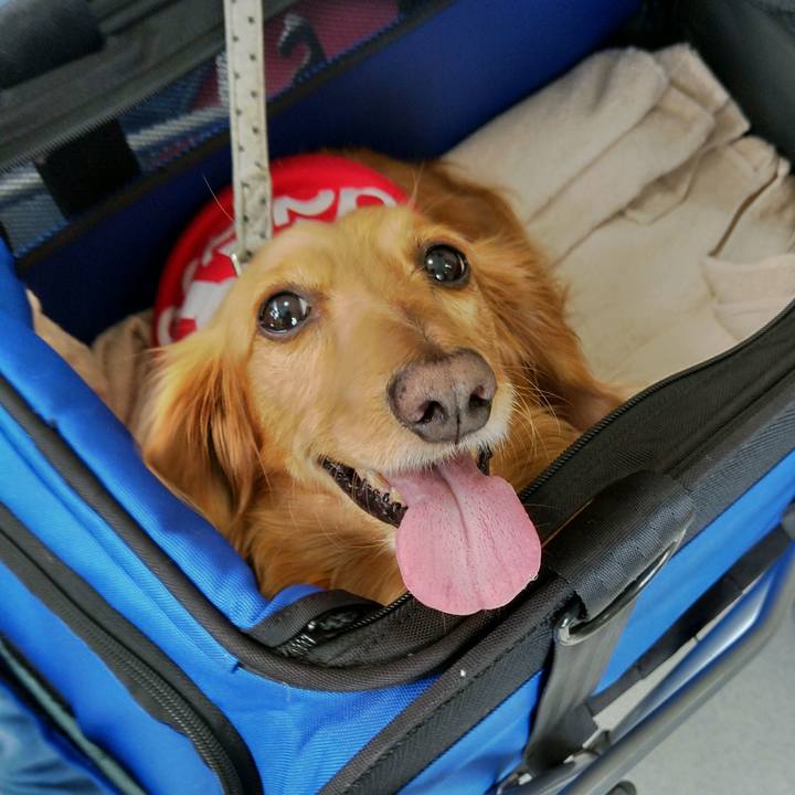 15bad834 55b4 4494 8fea dcd8032d08a2 1652010829073