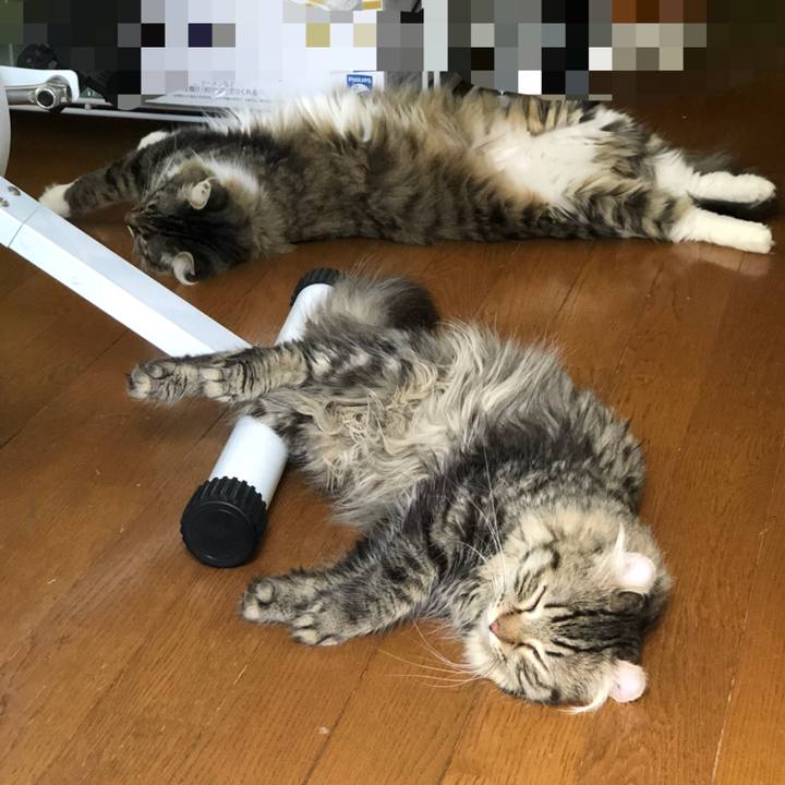 15bad849 f1e4 422a b0bb 243c6e44b10f 1532842285822