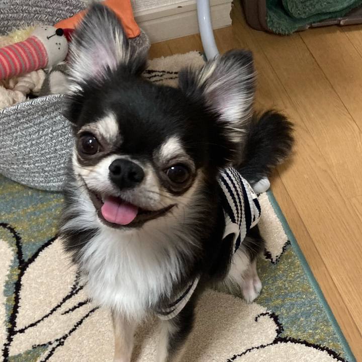 15bafbe0 c9ef 43b2 9aa3 1a610e847e9f 1619703246769