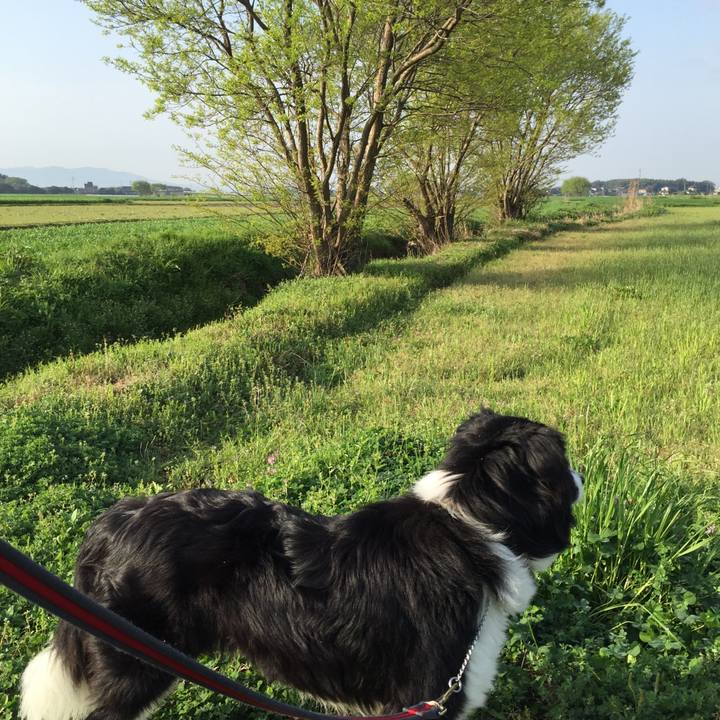 15bafda5 bfdc 4c7b 938f ed824fbcb238 1522797419043