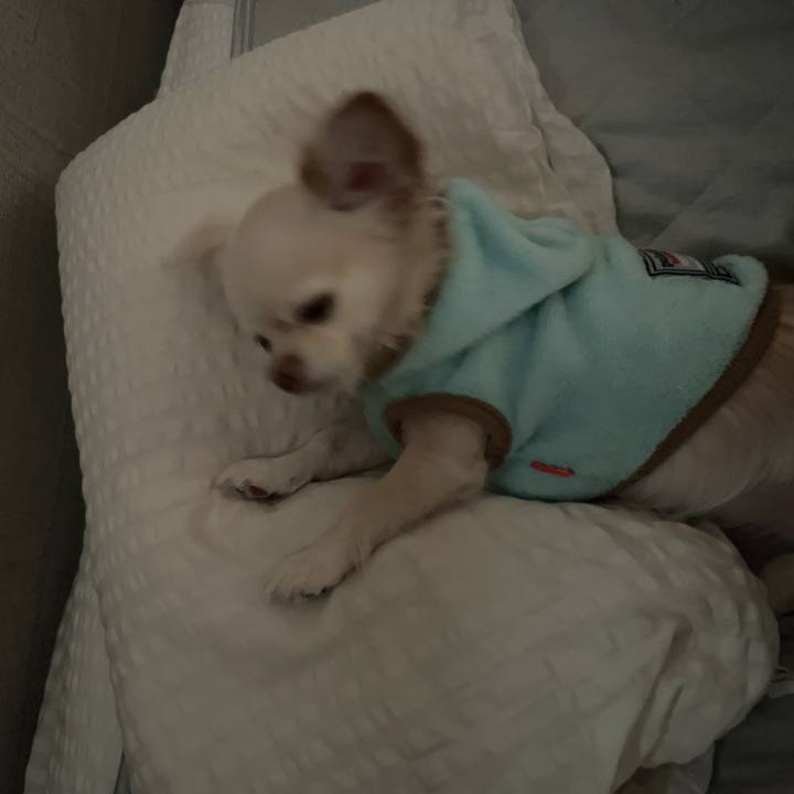 15bb2781 d6a2 478c 838c aa322f1c9152 1731282541626