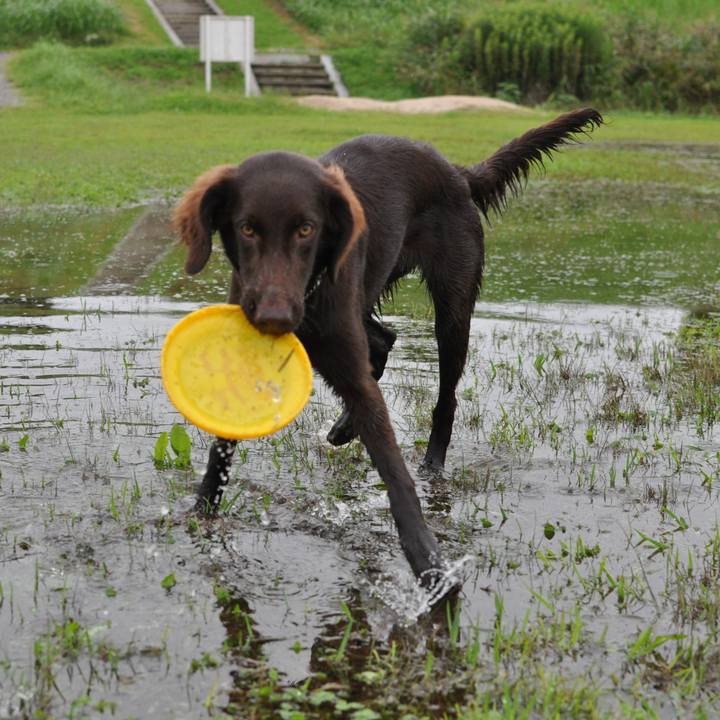 15bb4730 fbf2 427b 8dc5 bdc3d0964279 1563111901241