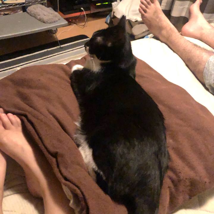 15bb6e5c ab2b 41b4 ac4d da717248f98e 1598283231242