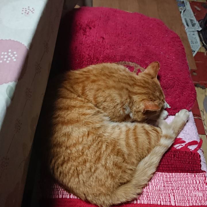 15bb7799 ab87 4303 ac74 29fd7b261eee 1554368921918