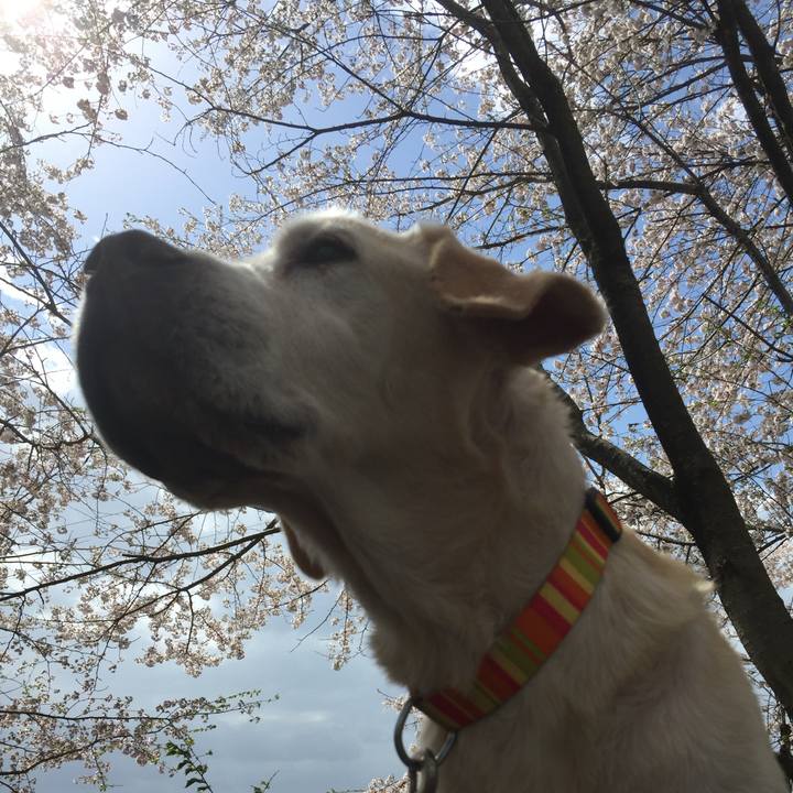 15bbee5d 06cd 4b9b 8926 b51e6caa3da5 1712144802859