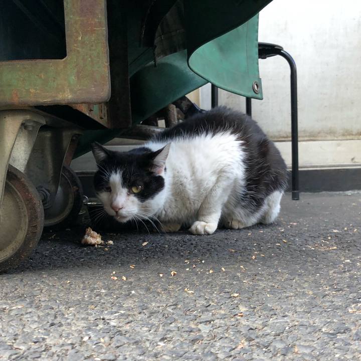 15bc262b 251c 46f7 8c2a b89b9b4dea89 1620575337944