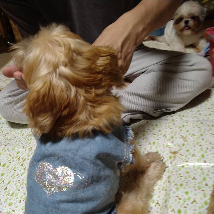 15bc2c6a fea6 436b b916 41cf5c494a8e 1600478604263