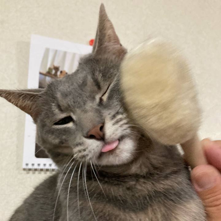 15bc8f30 3d53 4243 95e2 f135bf0016c2 1724039899093