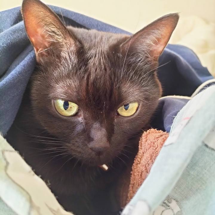 15bcc18a 85fc 4625 8a89 b0218dc46b49 1672621430386