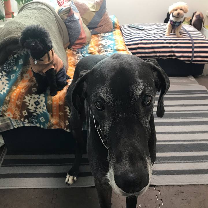 15bce8e1 7048 4d5a b83b 2634bebd4fa8 1541544824577