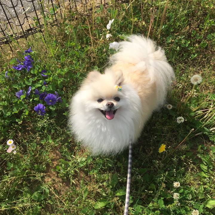 15bcfeac a8bf 47b4 b133 5143fa743d50 1589334060471