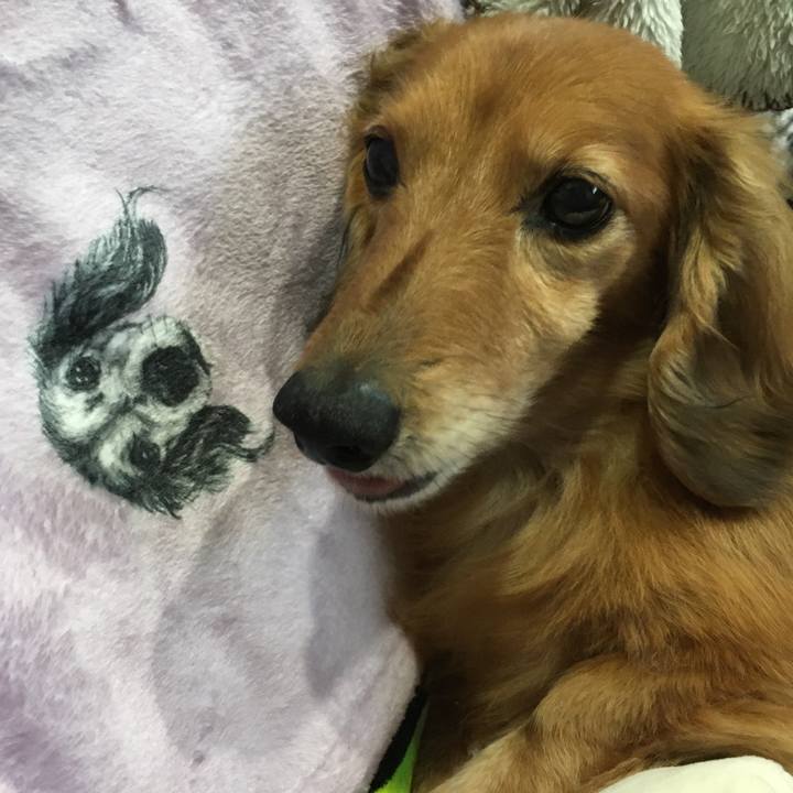 15bd0949 1dd5 4030 b9e1 61797a9b9fab 1590237969588